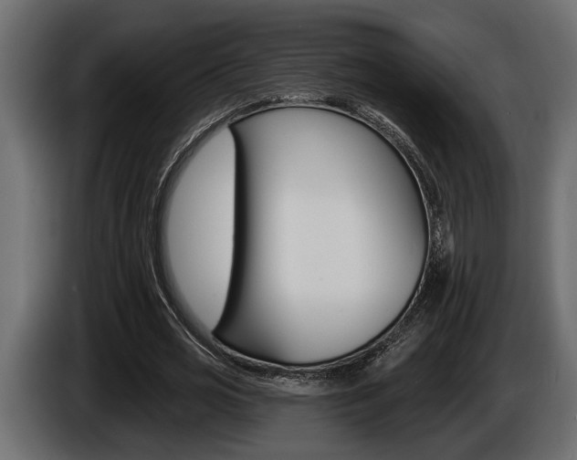 X0000086000725200703230848
