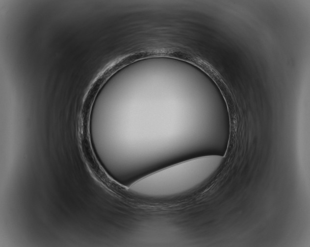 X0000086000726200703230848