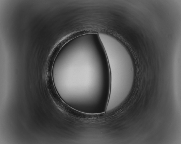 X0000086000728200703230848