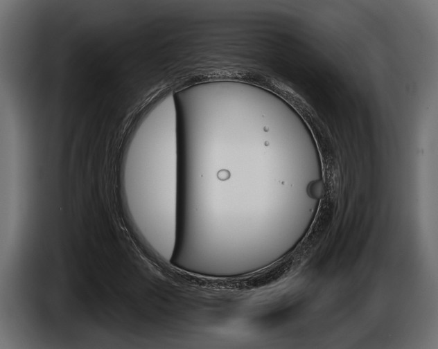 X0000086000729200703230848