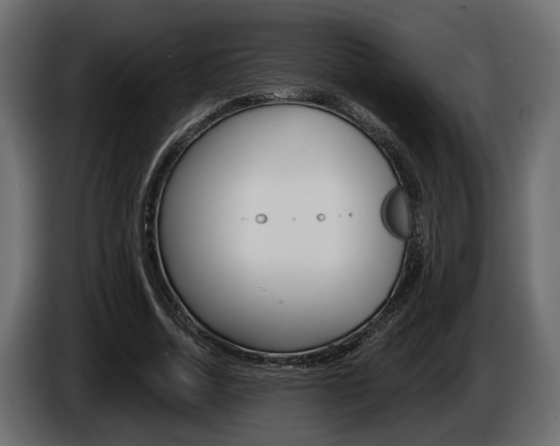 X0000086000730200703230848