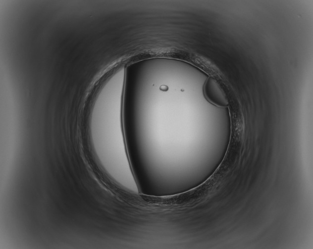 X0000086000732200703230848