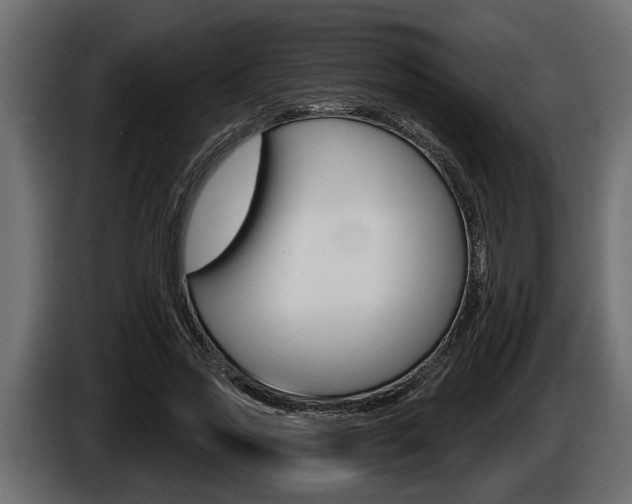 X0000086000733200703230848