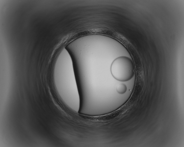 X0000086000734200703230848