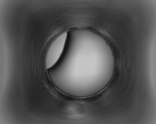 X0000086000735200703230848
