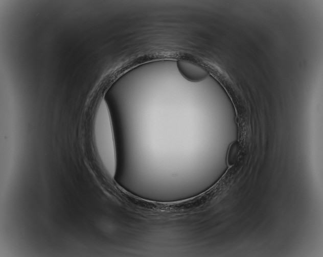 X0000086000736200703230848