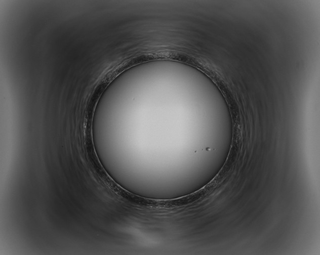 X0000086000739200703230848