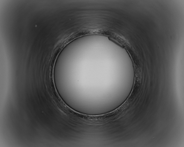 X0000086000740200703230848