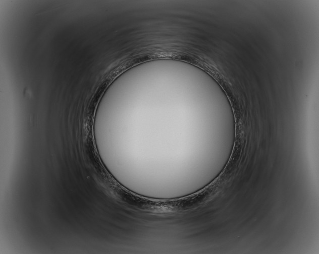 X0000086000741200703230849