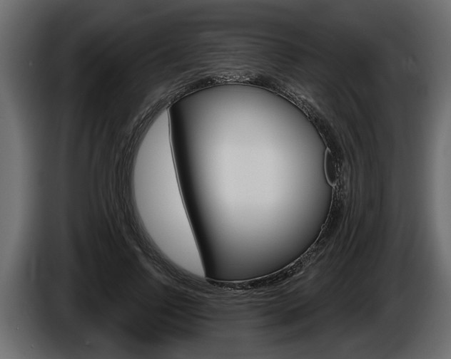 X0000086000742200703230849
