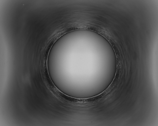 X0000086000744200703230849