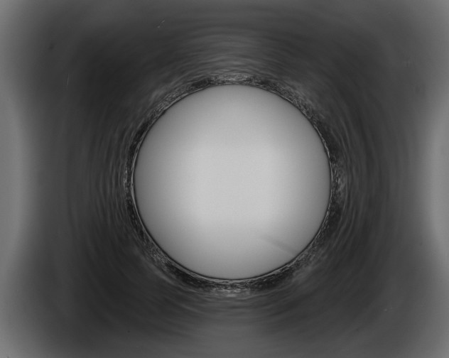 X0000086000745200703230849