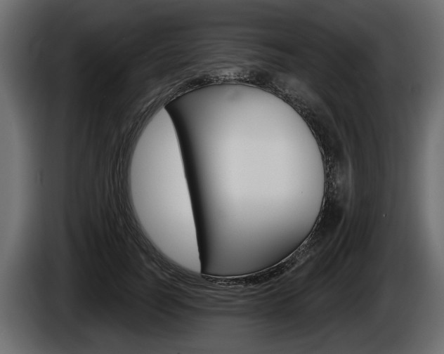 X0000086000746200703230849