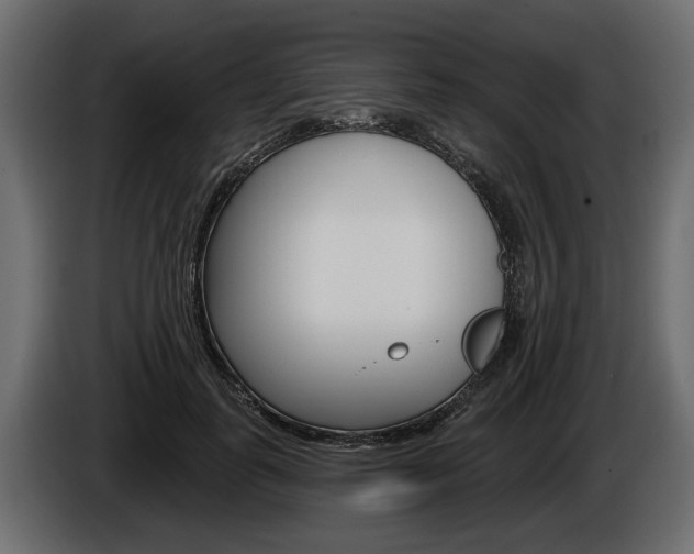 X0000086000747200703230849