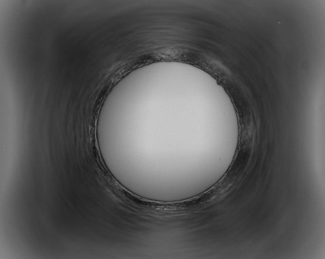 X0000086000749200703230849