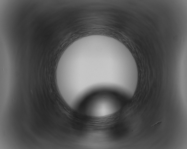 X0000086000750200703230849