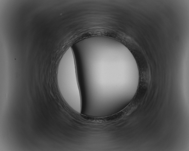 X0000086000751200703230849
