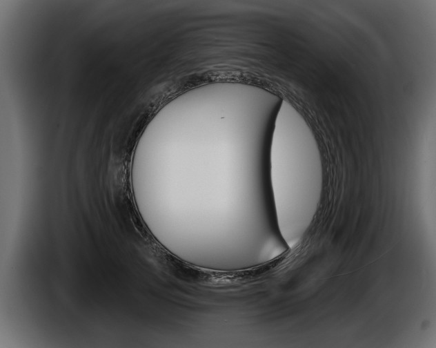 X0000086000753200703230849
