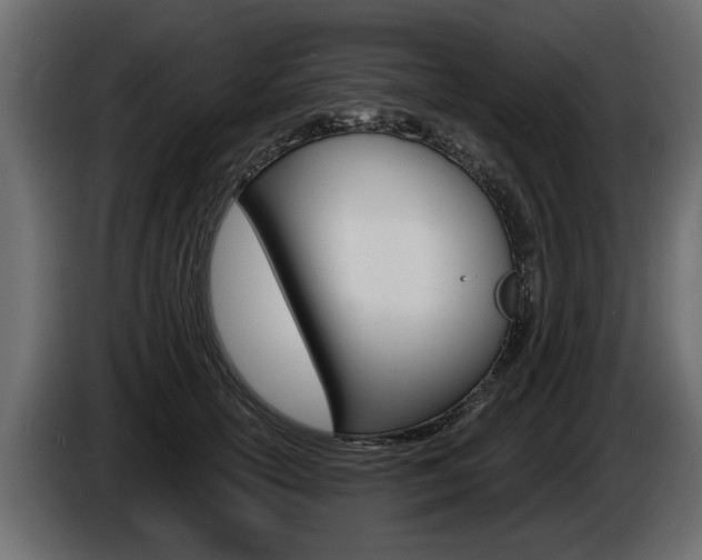 X0000086000754200703230849