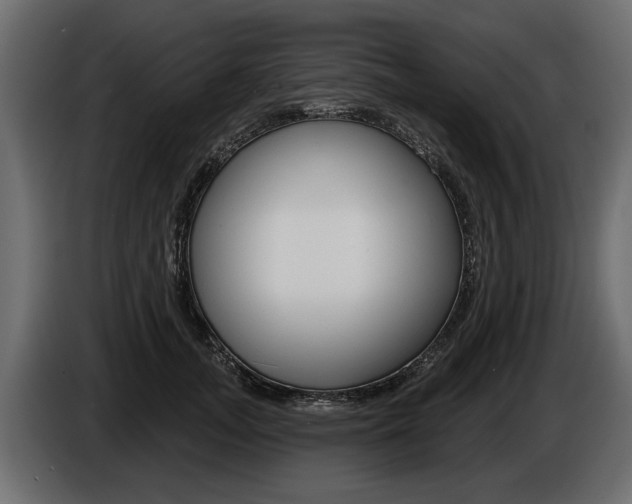 X0000086000755200703230849