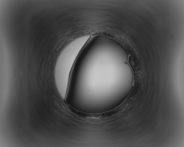 X0000086000756200703230849