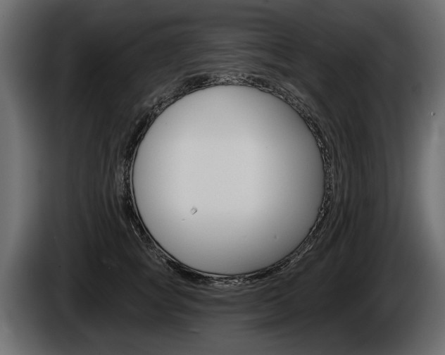 X0000086000757200703230849