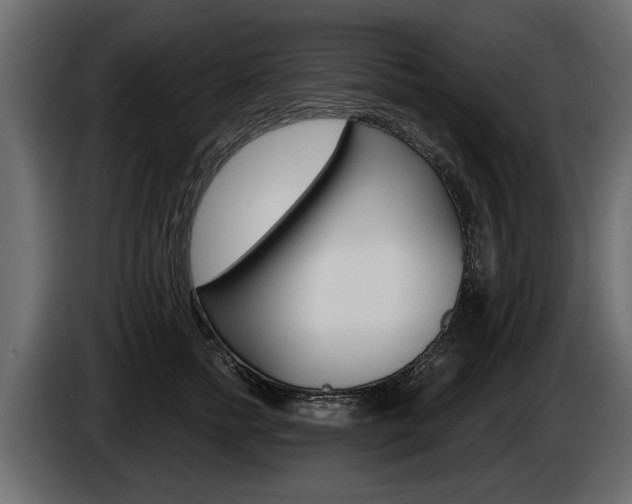 X0000086000758200703230849