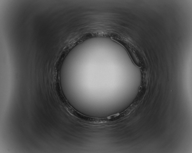 X0000086000760200703230849
