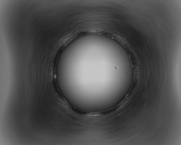 X0000086000762200703230849