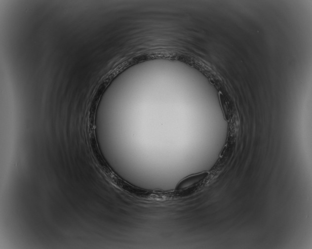 X0000086000764200703230849