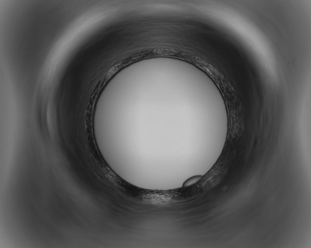 X0000086000765200703230849