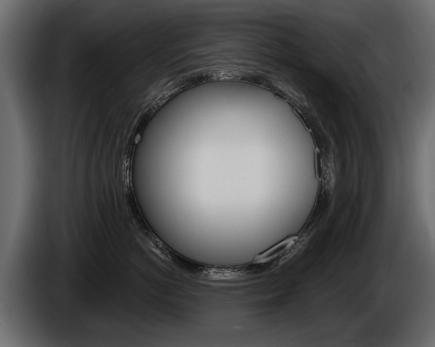 X0000086000766200703230849