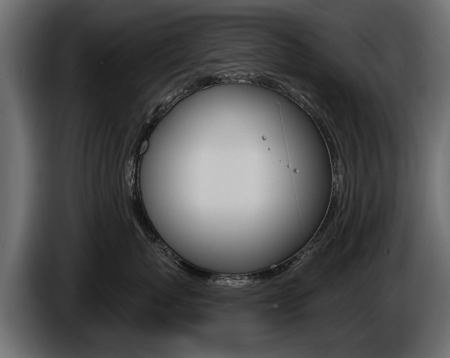 X0000086000767200703230849