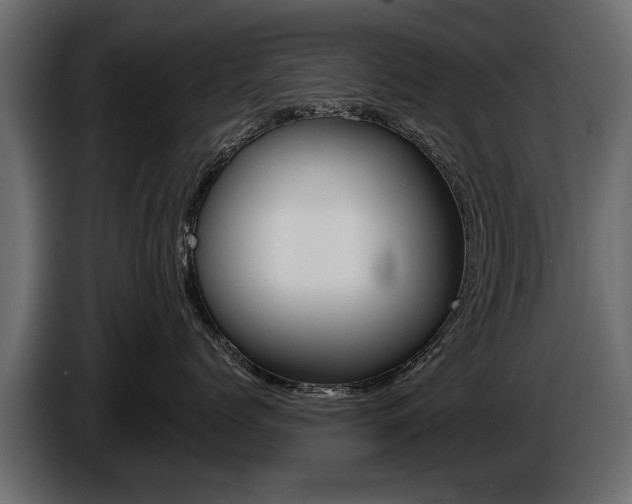 X0000086000768200703230849