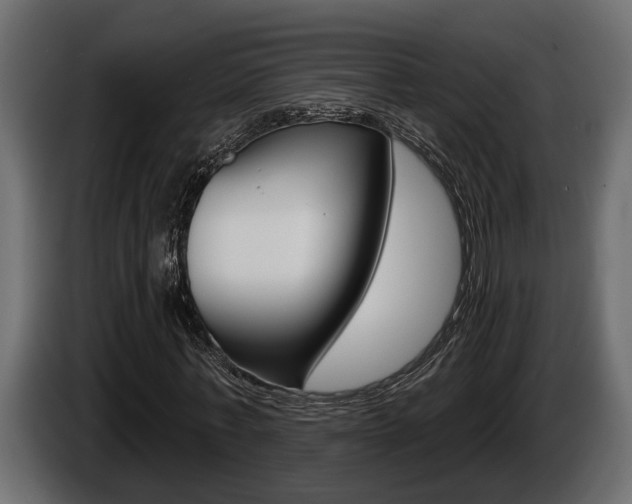 X0000086000771200703230848