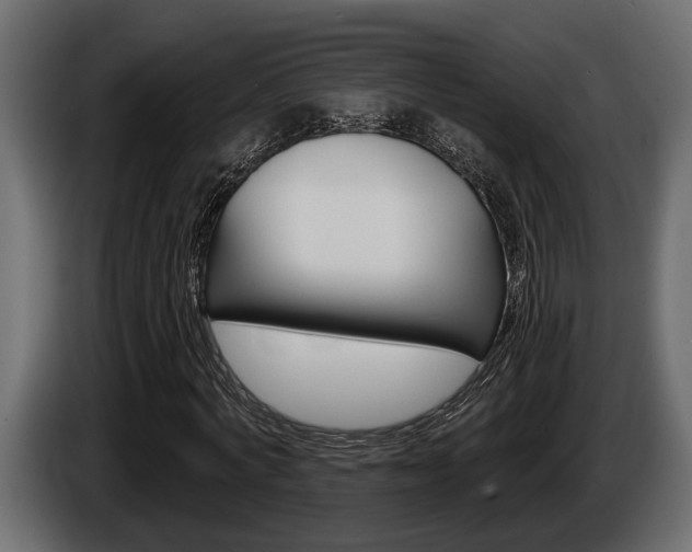 X0000086000772200703230848