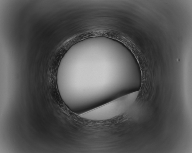 X0000086000773200703230848
