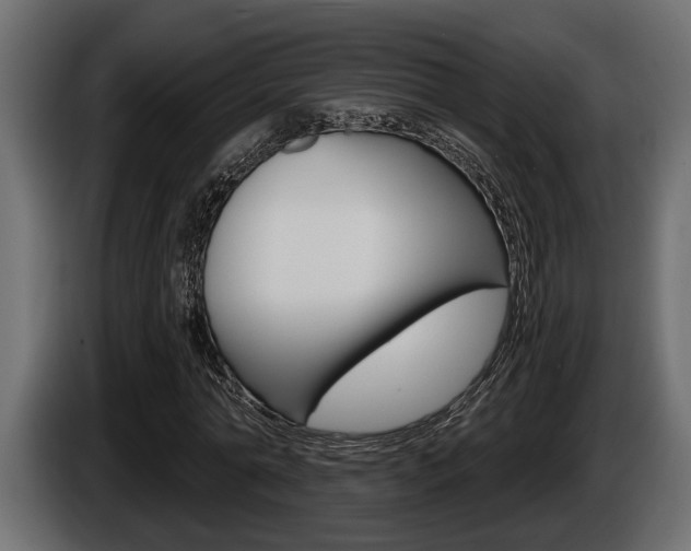 X0000086000774200703230848