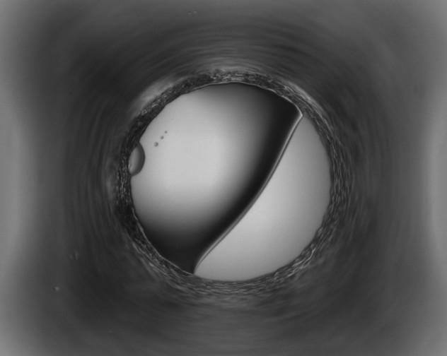 X0000086000775200703230848