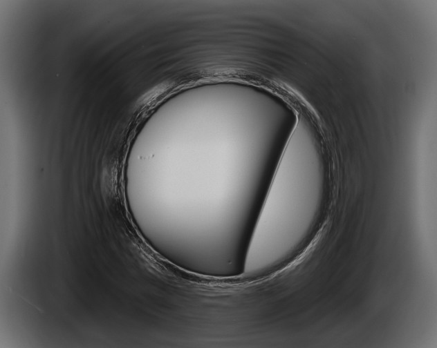 X0000086000777200703230848