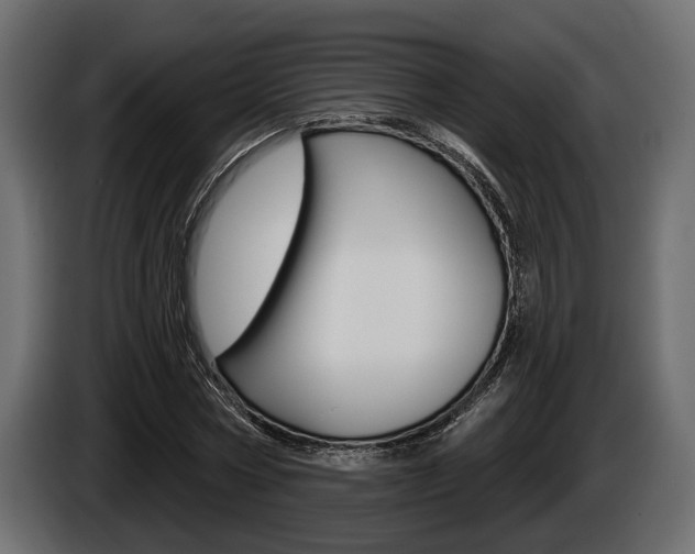 X0000086000778200703230848