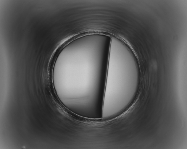 X0000086000779200703230848