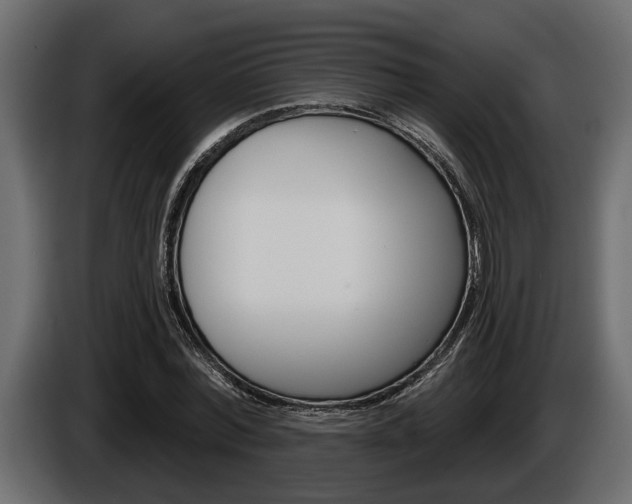 X0000086000780200703230848