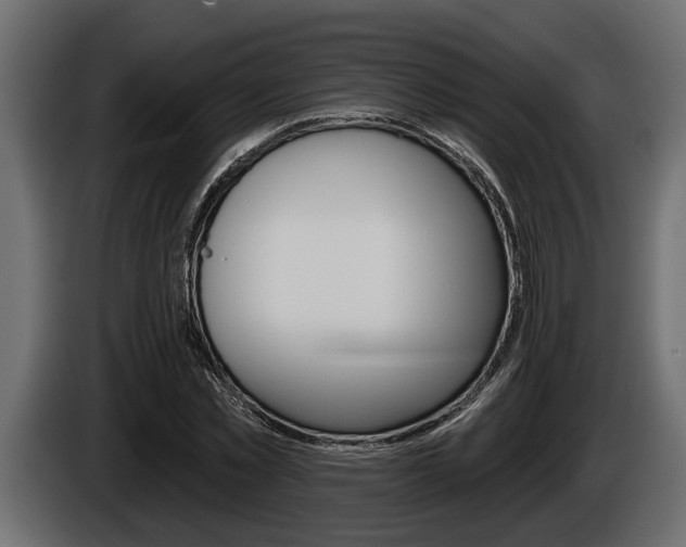 X0000086000781200703230848