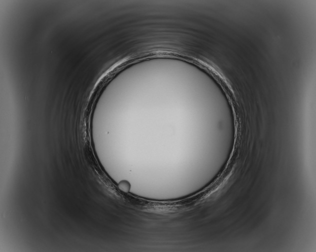 X0000086000782200703230848
