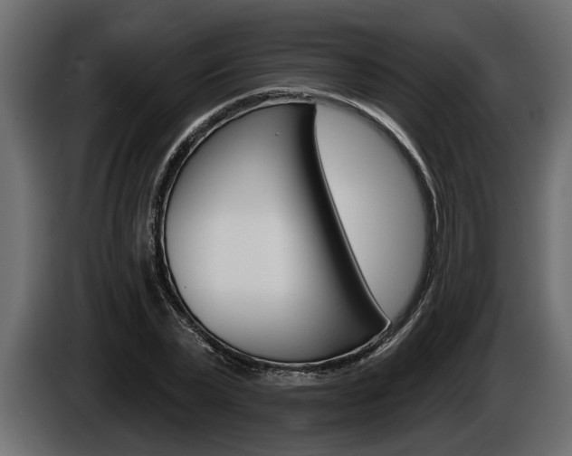 X0000086000783200703230848