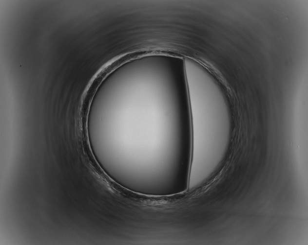 X0000086000784200703230848