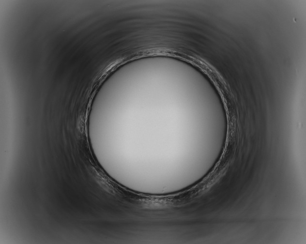 X0000086000785200703230848