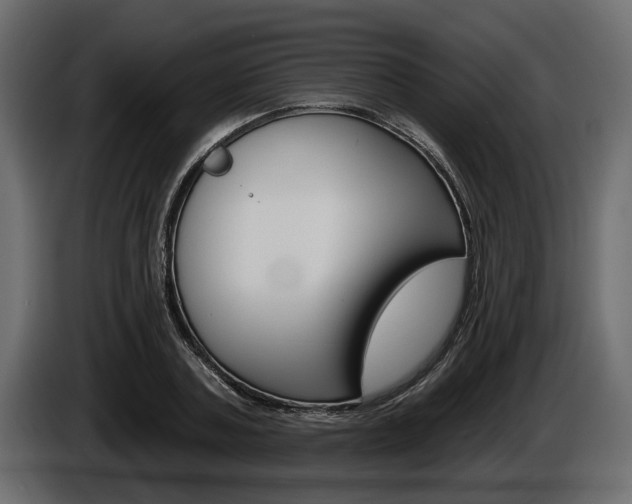 X0000086000787200703230848