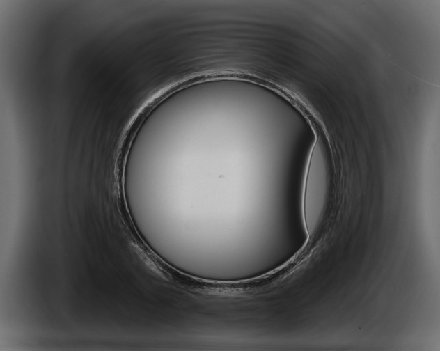 X0000086000789200703230848